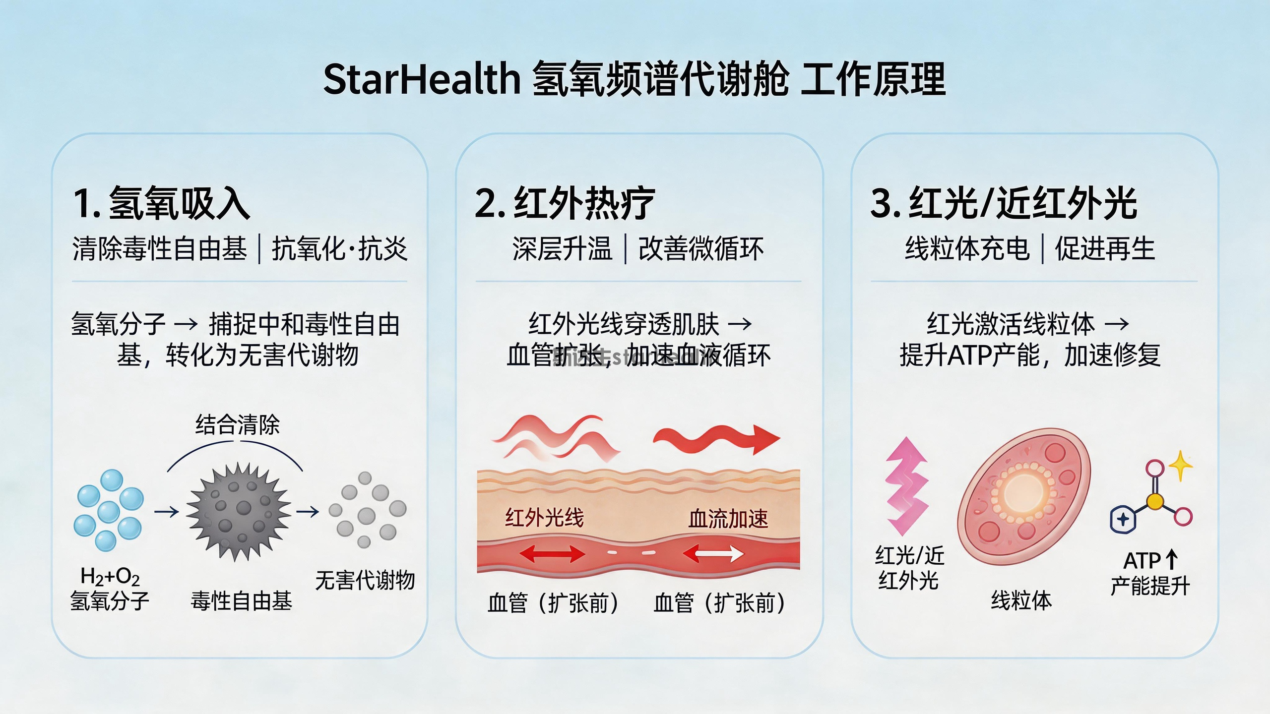 颠覆认知：决定寿命的不是年龄，而是衰老速度！三合一科技如何帮你“踩刹车”