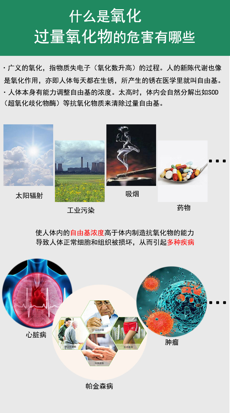 一机两用氢氧机800ml(图2)